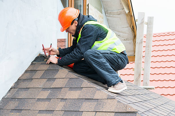 Best Roof Gutter Cleaning  in Vance, AL